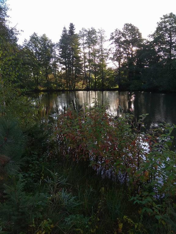 apartmány pod lesem Bohutín Esterno foto