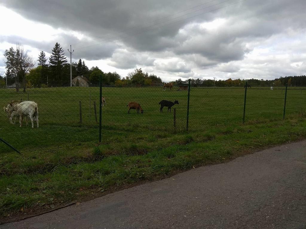 apartmány pod lesem Bohutín Esterno foto