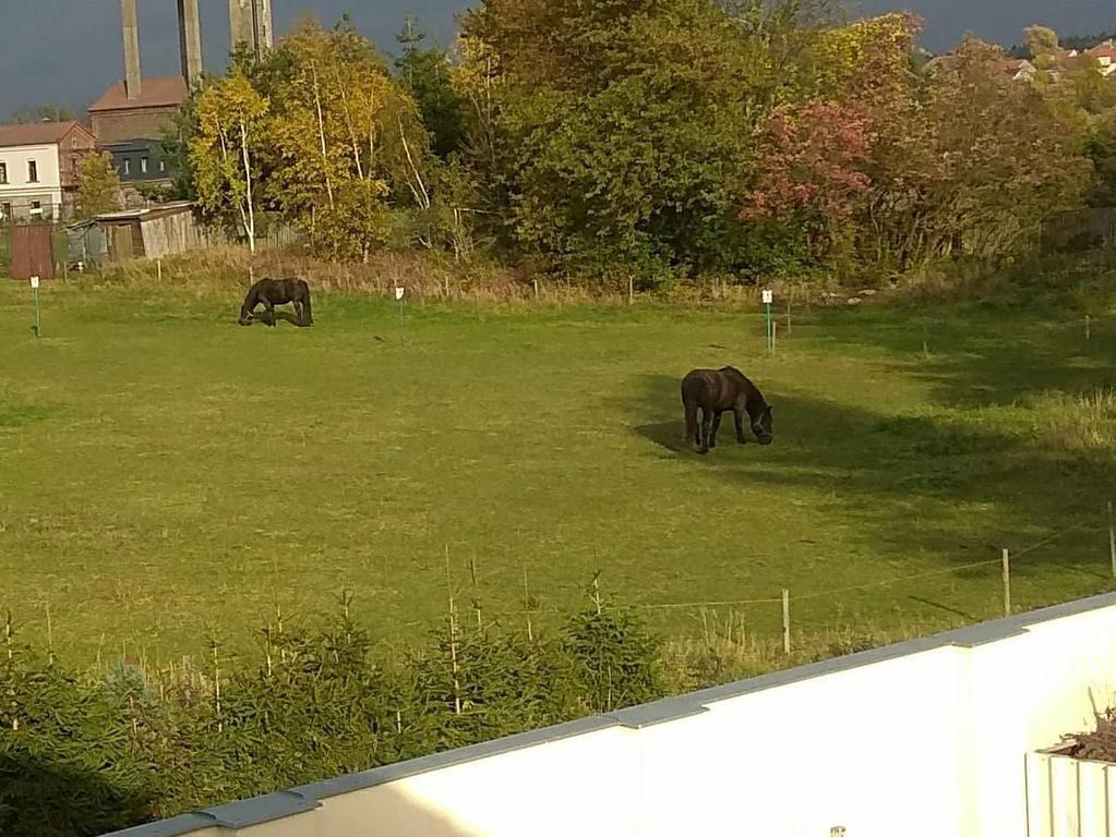 apartmány pod lesem Bohutín Esterno foto